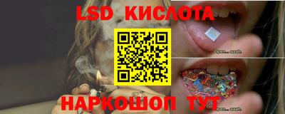 сатива Ирбит