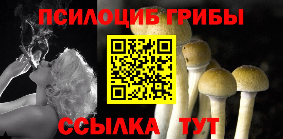 Галлюциногенные грибы Psilocybine cubensis  Вход с VPN  Кубинка  Псилоцибиновые грибы GOLDEN TEACHER 