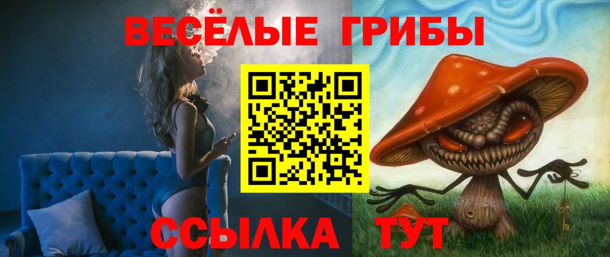 Псилоцибиновые грибы Psilocybine cubensis Кубинка